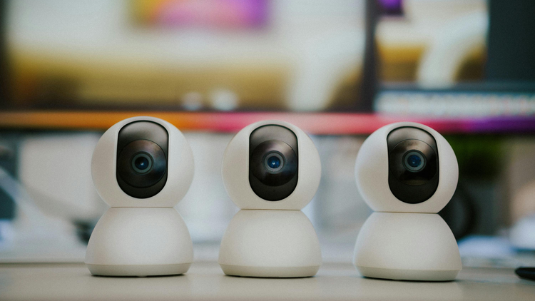 PTZ Cameras