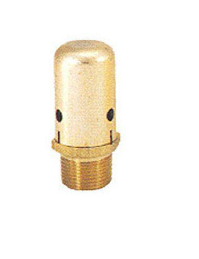 ITT-Bell & Gossett No. 26 Male Threaded Brass 3/4 in. 150 psig BFP Vacuum Breaker