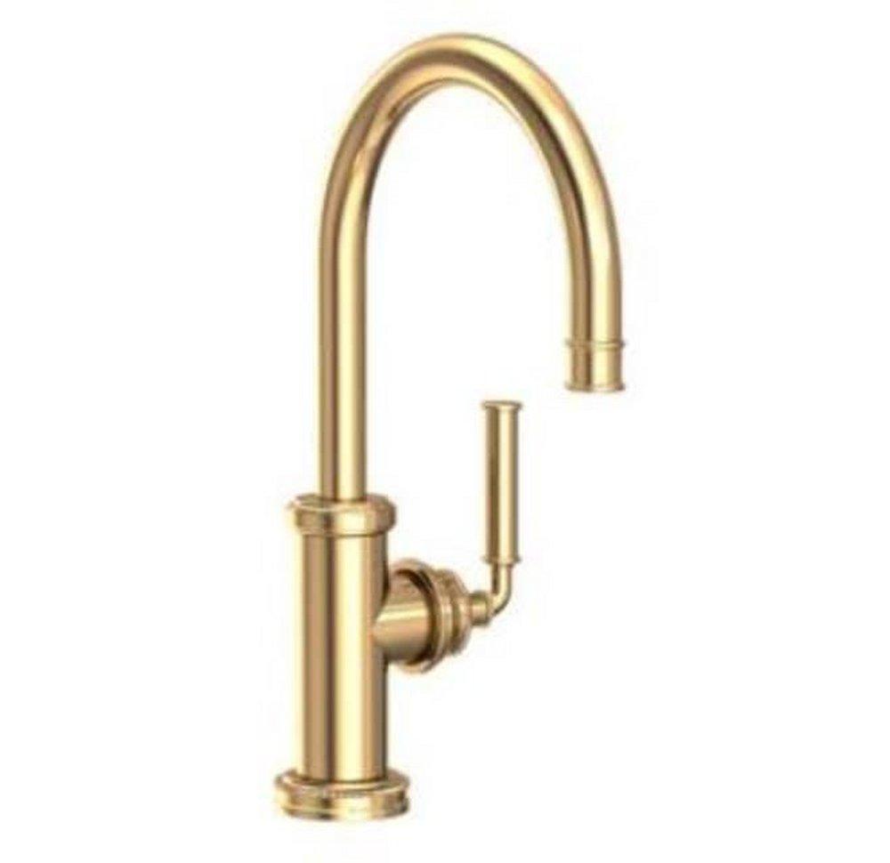 Newport Brass Taft Single Handle Bar Faucet in Polished Brass Uncoated - Living