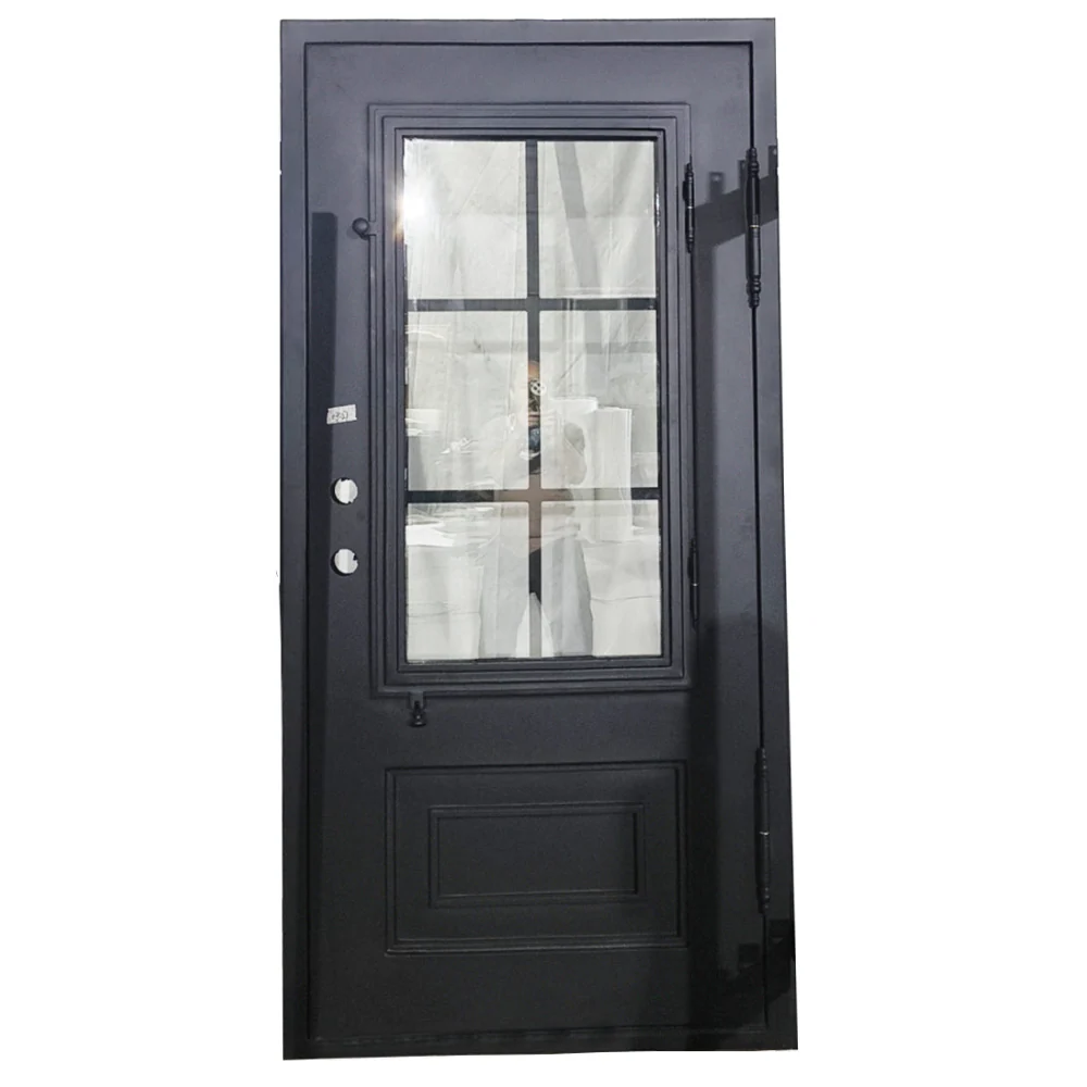 3/0 X 6/8 6 Lite Exterior Wrought Iron Door