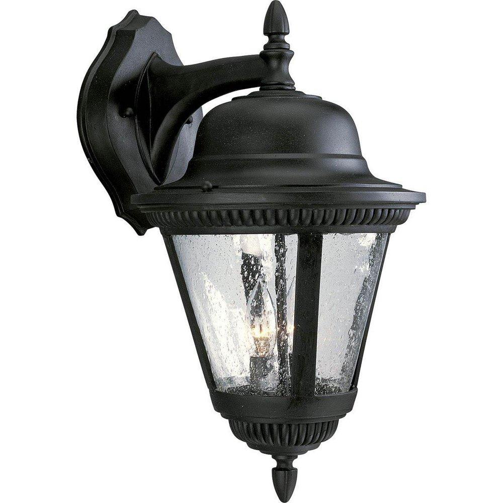 Progress Lighting Westport 19-1/4 in. 60W 2-Light Outdoor Wall Lantern in Black