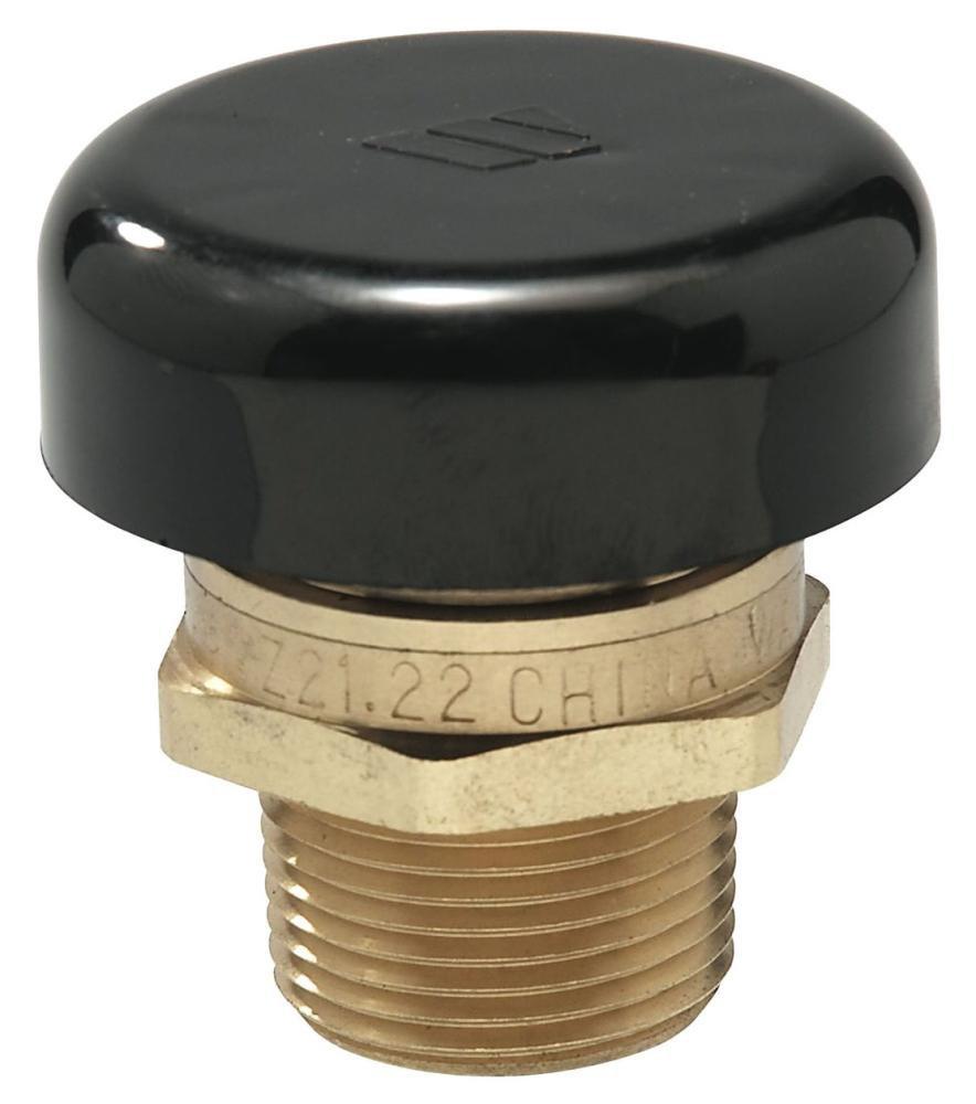 Watts Series LFN36 3/4 in. Brass MNPT 15# 250 Relief Valve