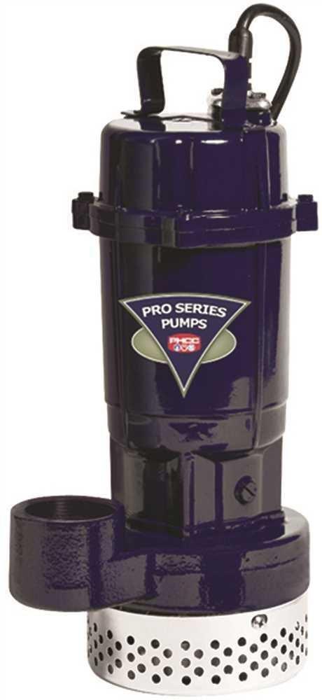 1/3 HP 115V Cast Iron Submersible Sump Pump