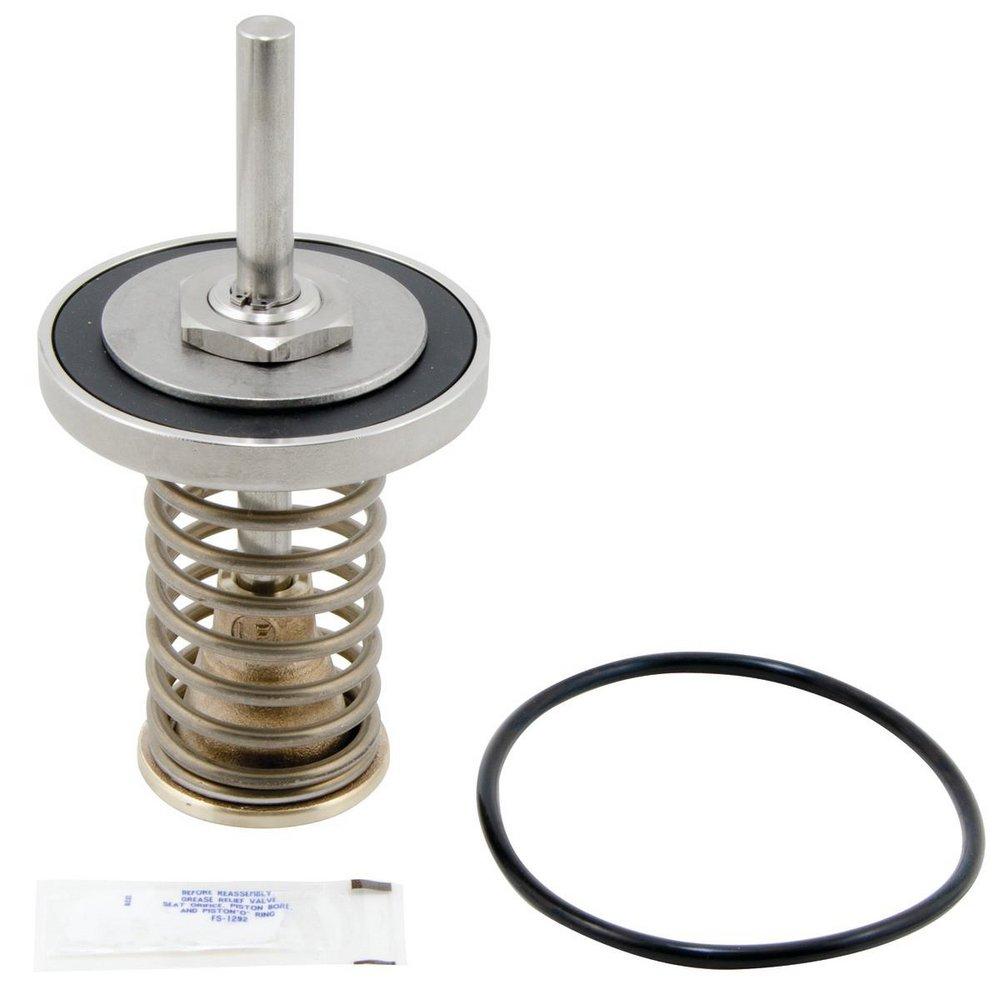 Watts RK-LF909 2-1/2 - 3 in. Check Valve Repair Kit