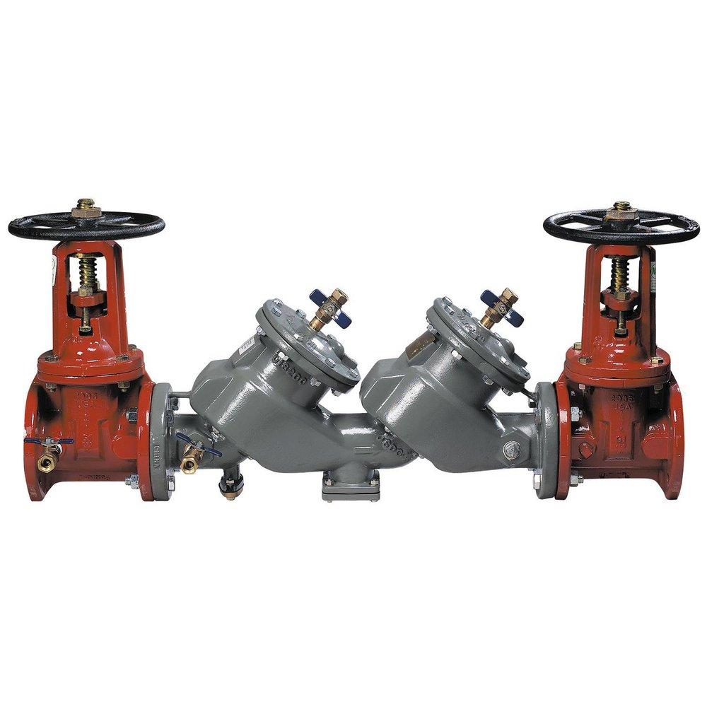 10 in. Double Check Valve Assembly with OS&Y Gate Valves