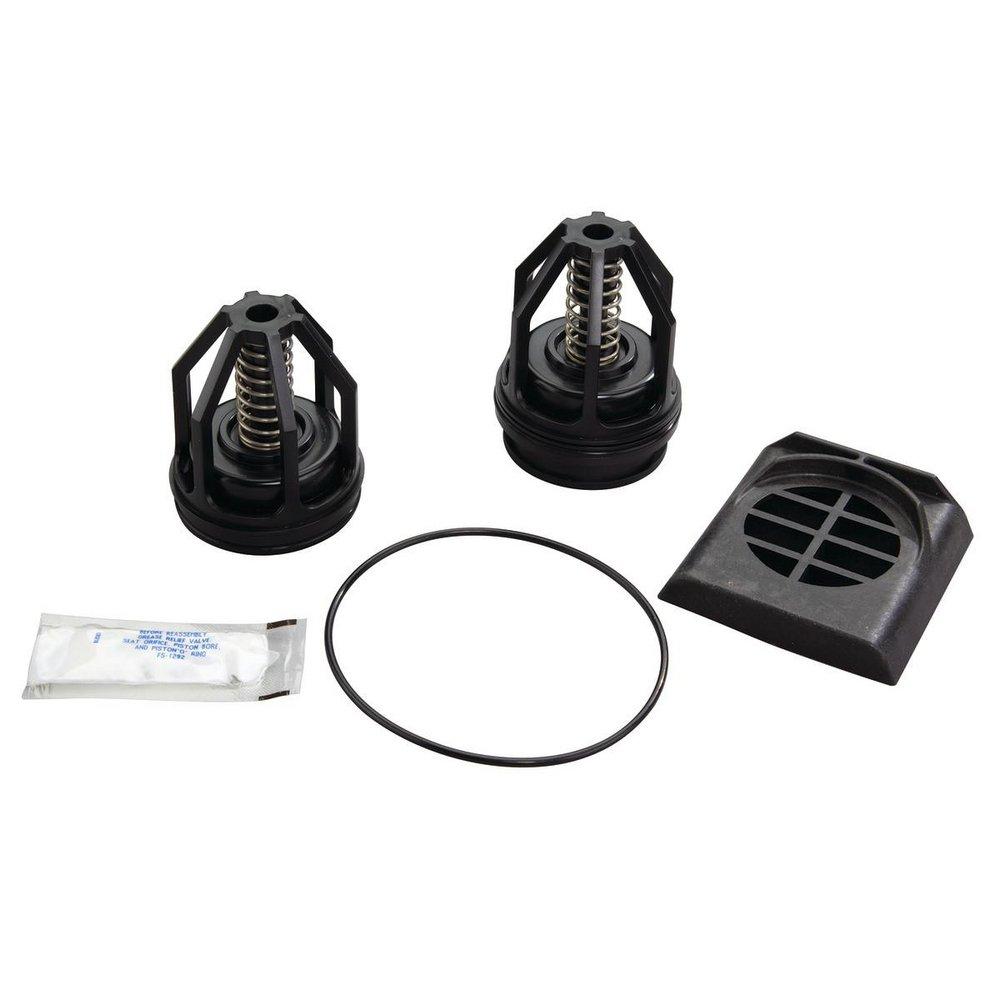 Watts Series RK-007 1-1/4 - 1-1/2 in. Repair Kit Bronze