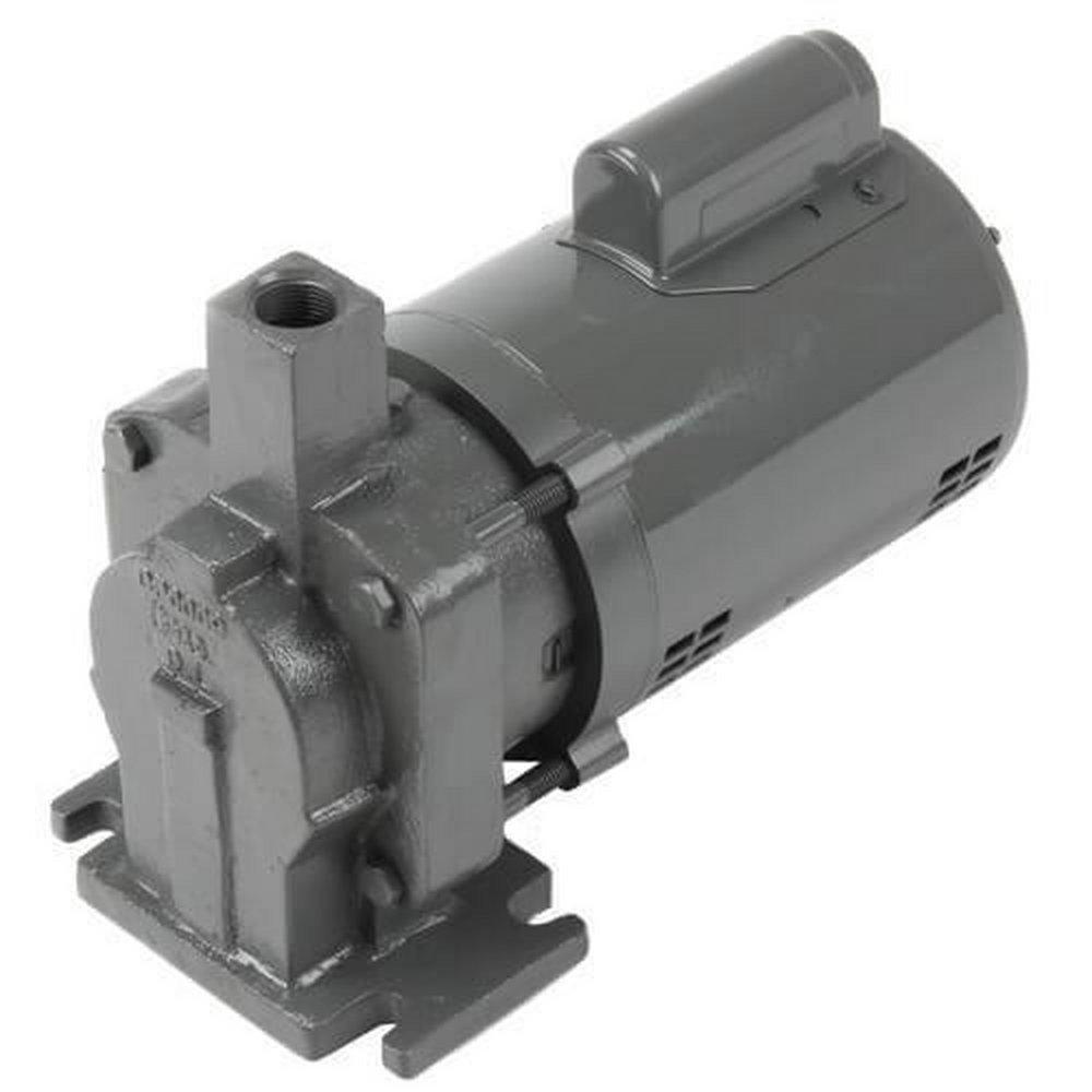1/3 hp 115/230V Pump & Motor Assembly