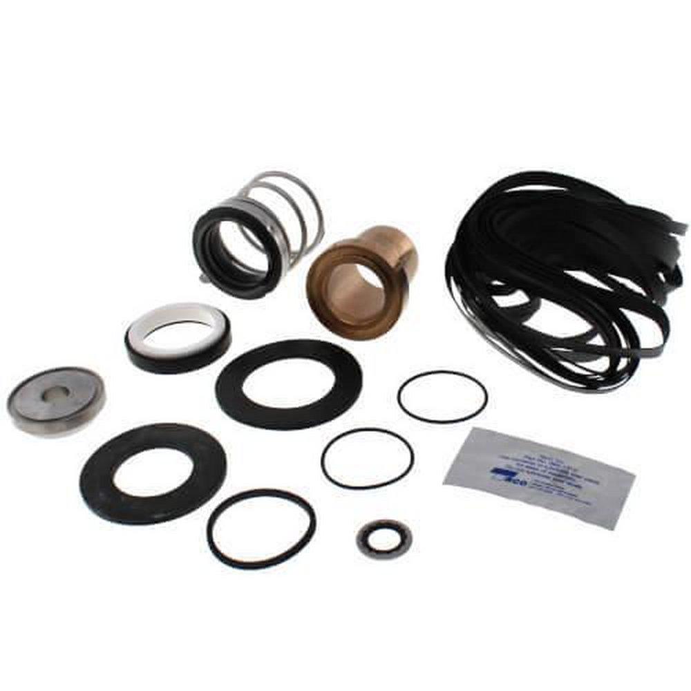 Pump Seal Kit in Bronze