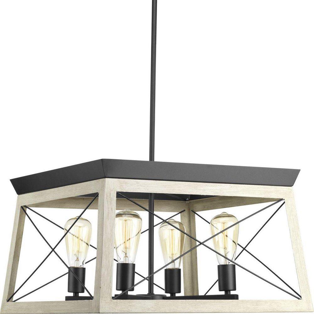 Progress Lighting Briarwood 20 in. 100W 4-Light Medium E-26 Incandescent Chandelier in Graphite