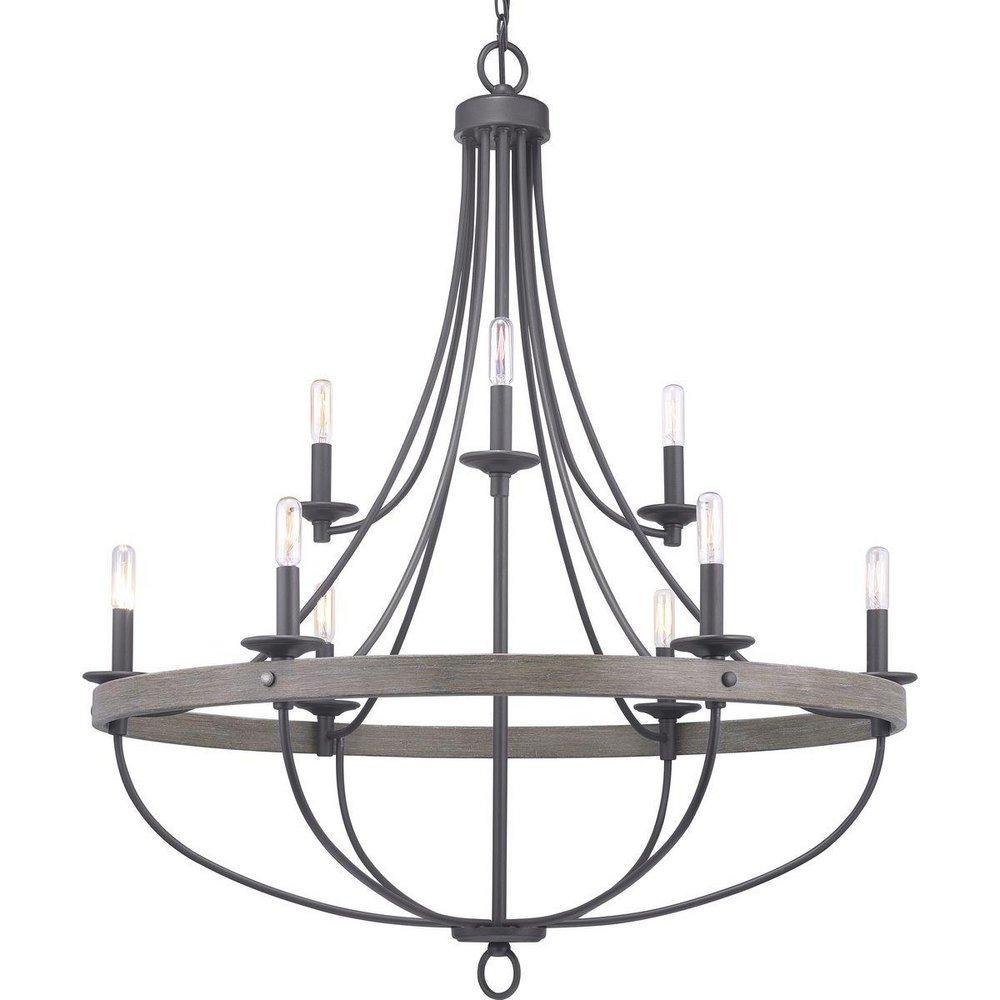 Progress Lighting Gulliver 60W 9-Light Candelabra E-12 Incandescent Chandelier in Graphite