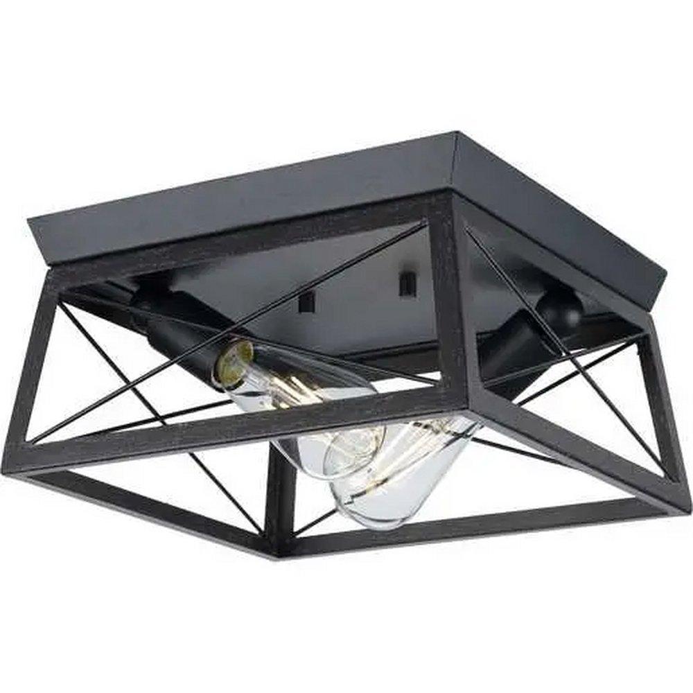 Progress Lighting Briarwood 120W 2-Lights A19 Flush Mount Ceiling Fixture in Ceruse Black