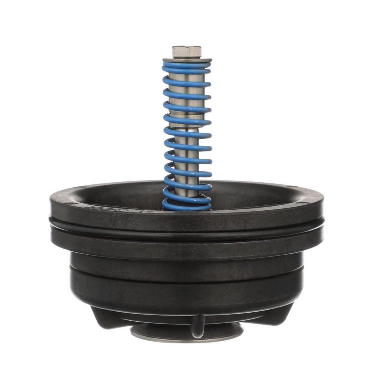 2-1/2 - 3 in. First Check Repair Kit Valve Repair Kit