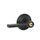 Schlage Residential F80LAT619