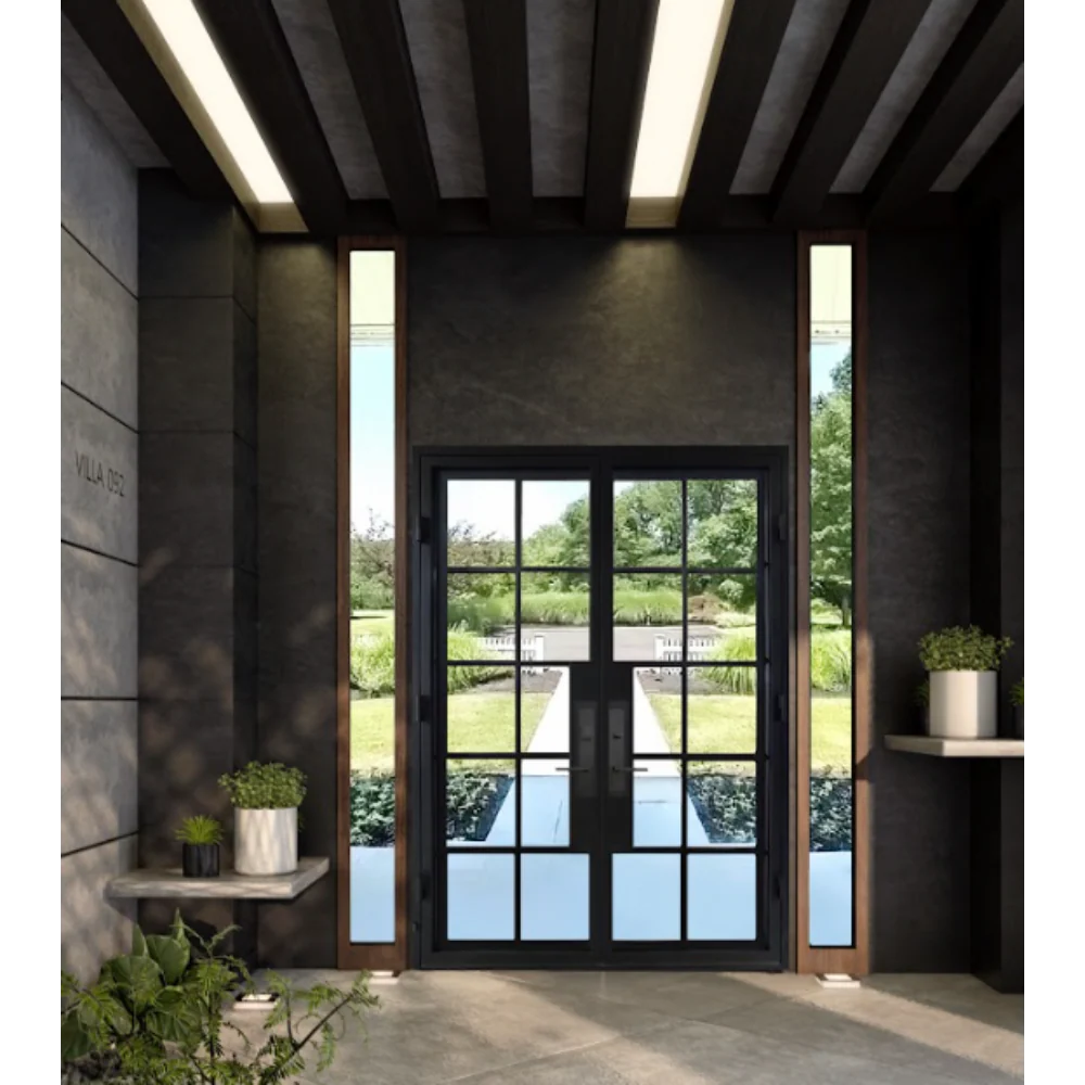 6/0x8/0 10 Lite French Exterior Wrought Iron Prehung Door