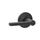 Schlage Residential J10FSOL619