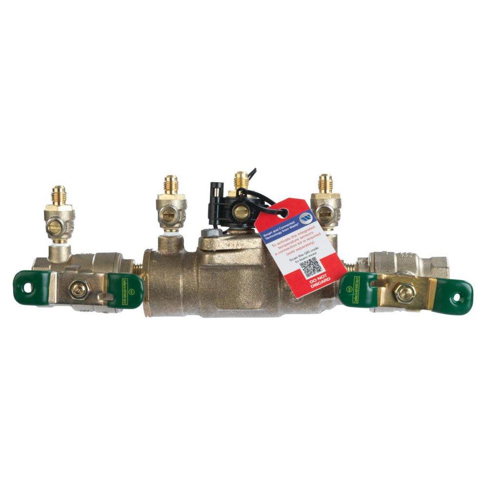 Watts SS007 Series 3/4 in. Stainless Steel Double Check Valve with Quarter-Turn Ball Valve