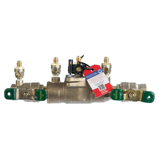 Watts SS007 Series 3/4 in. Stainless Steel Double Check Valve with Quarter-Turn Ball Valve