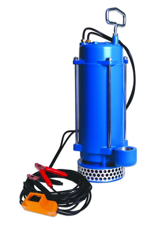 12V Dewatering Pump