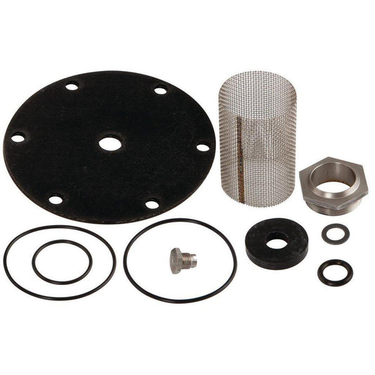 Watts RK-25AUB-Z3 1-1/4 in. Valve Repair Kit