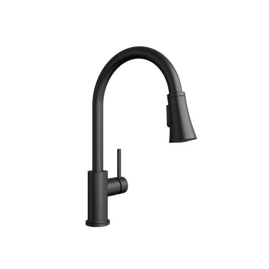 PROFLO® Orvis Single Handle Pull Down Kitchen Faucet in Matte Black