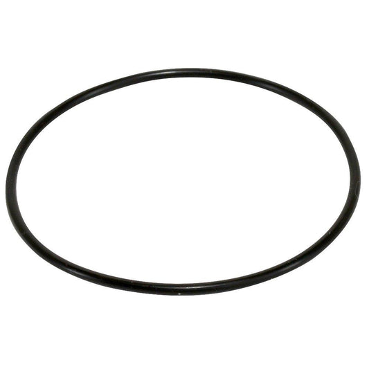 Pentair® Standard Series Buna-N O-ring for WV34, WVC34, W34-PR and WC34-PR