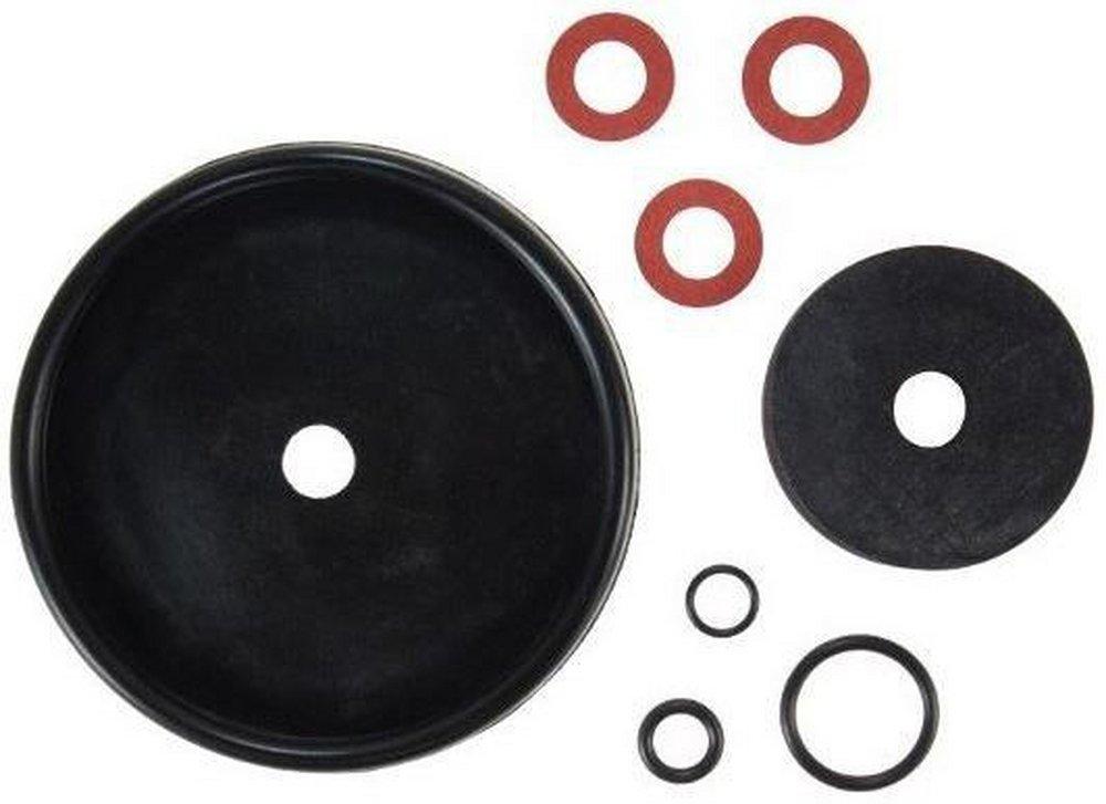 1 in. Valve Repair Kit