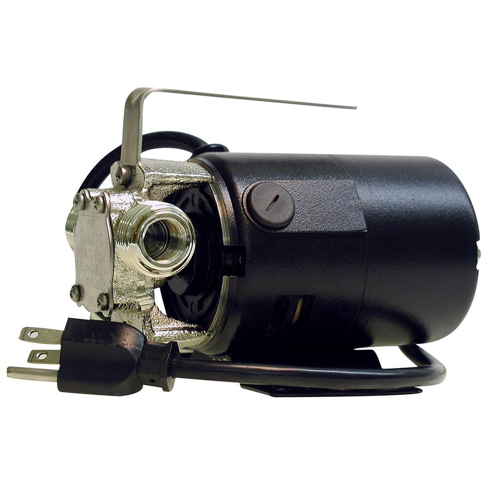 Zoeller Pump Co Model 311 3/4 in. GHT 115V 9 ft. Transfer Pump