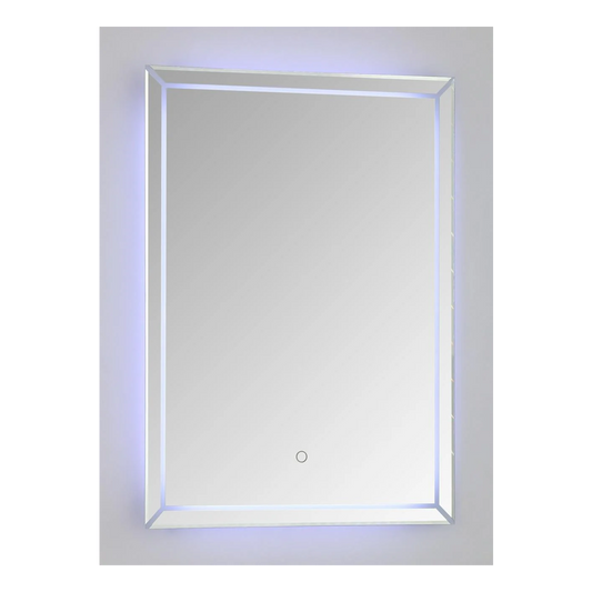 LED Bathroom Wall Mirror | 19.5X27.5 in