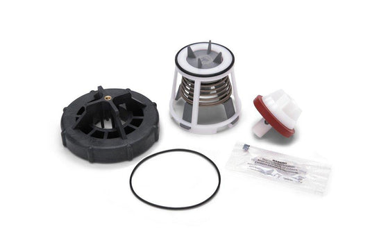 1 in. Valve Repair Kit