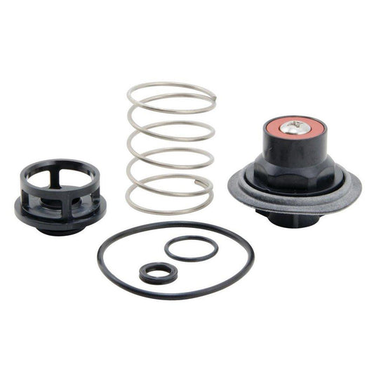 Watts Series RK-919 3/4 - 1 in. Valve Repair Kit