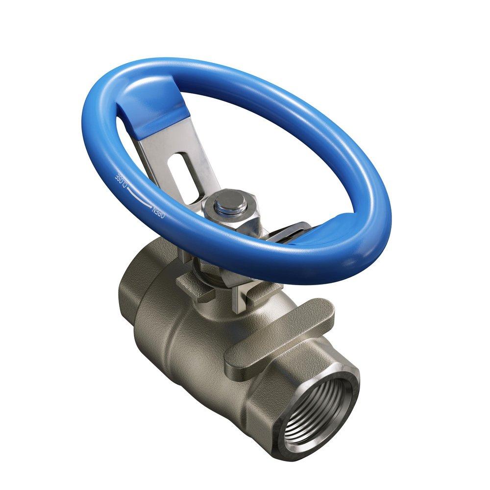 FNW® Figure 200AOL 2 in. Stainless Steel Full Port FPT Oval Handle 1000# Ball Valve