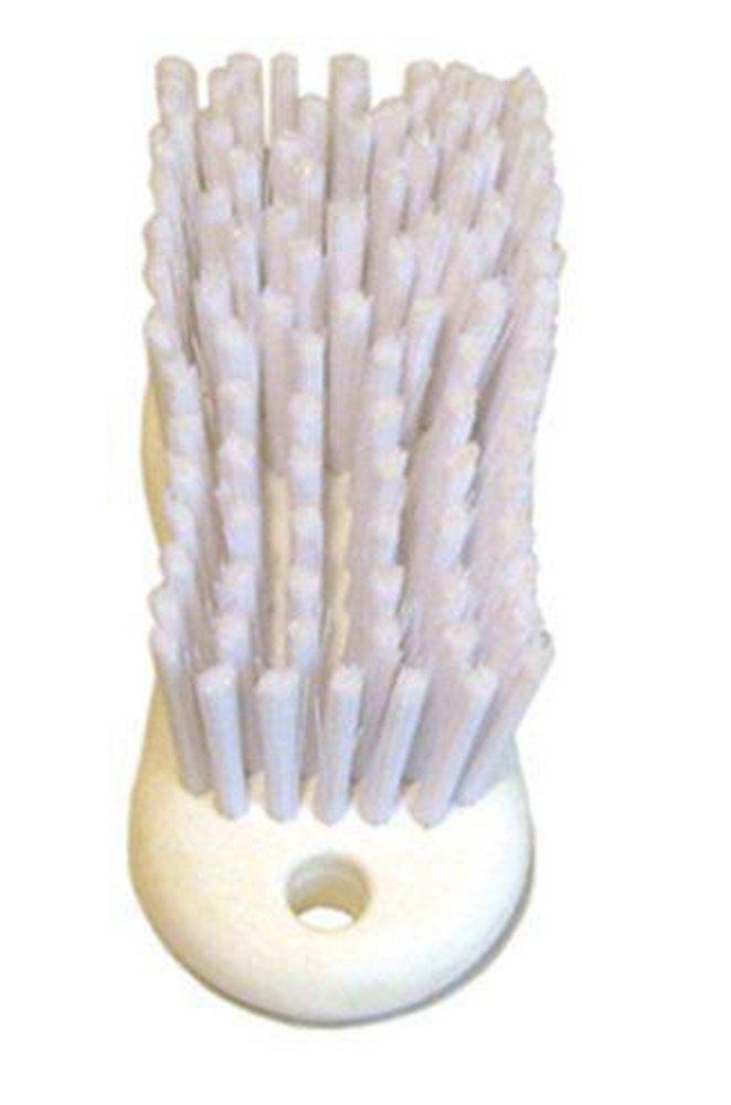 6 in. Plastic Scrub Brush in White