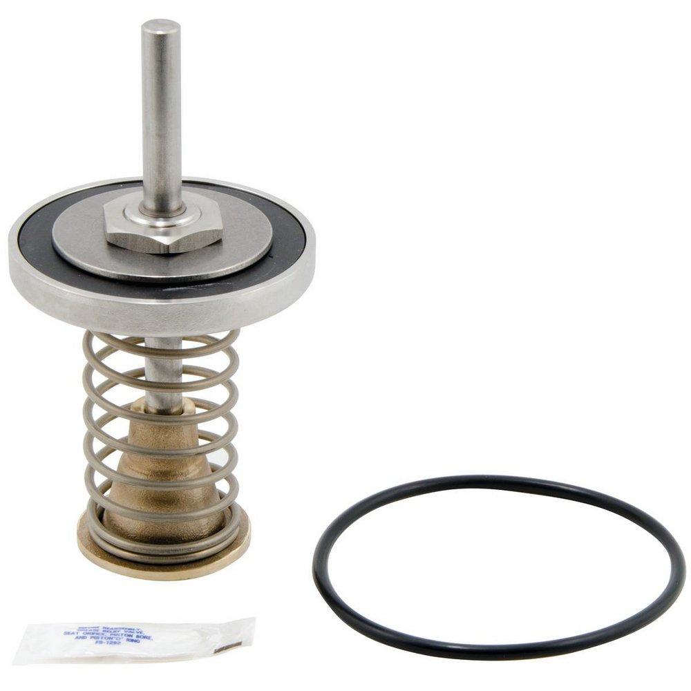 Watts RK-LF909 2-1/2 - 3 in. Check Valve Repair Kit