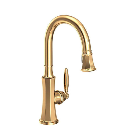 Newport Brass Metropole Single Handle Pull Down Kitchen Faucet in Uncoated Polished Brass - Living