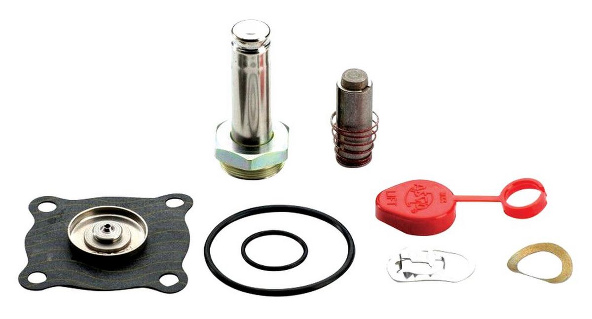 1 and 1-1/4 in. Valve Repair Kit