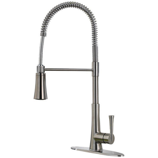 Pfister Zuri™ Single Handle Pull Down Kitchen Faucet in Stainless Steel