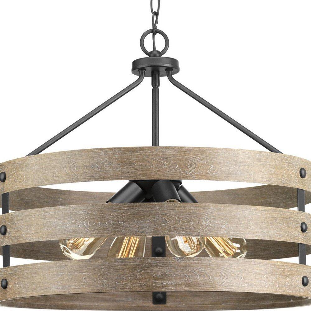 Progress Lighting Gulliver 21-5/8 in. 4-Light Pendant in Graphite