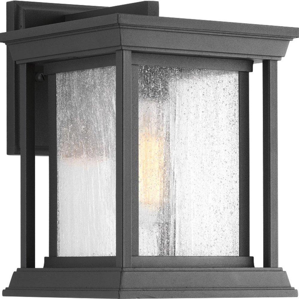 Progress Lighting Endicott 1-Light 100W 10-1/2 in. Outdoor Wall Sconce with Clear Seeded Glass Shade in Black