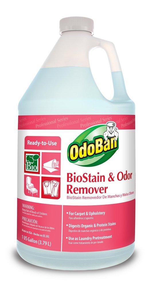 OdoBan®
                                
                                1 gal Biostain and Odor Remover (Case of 4)