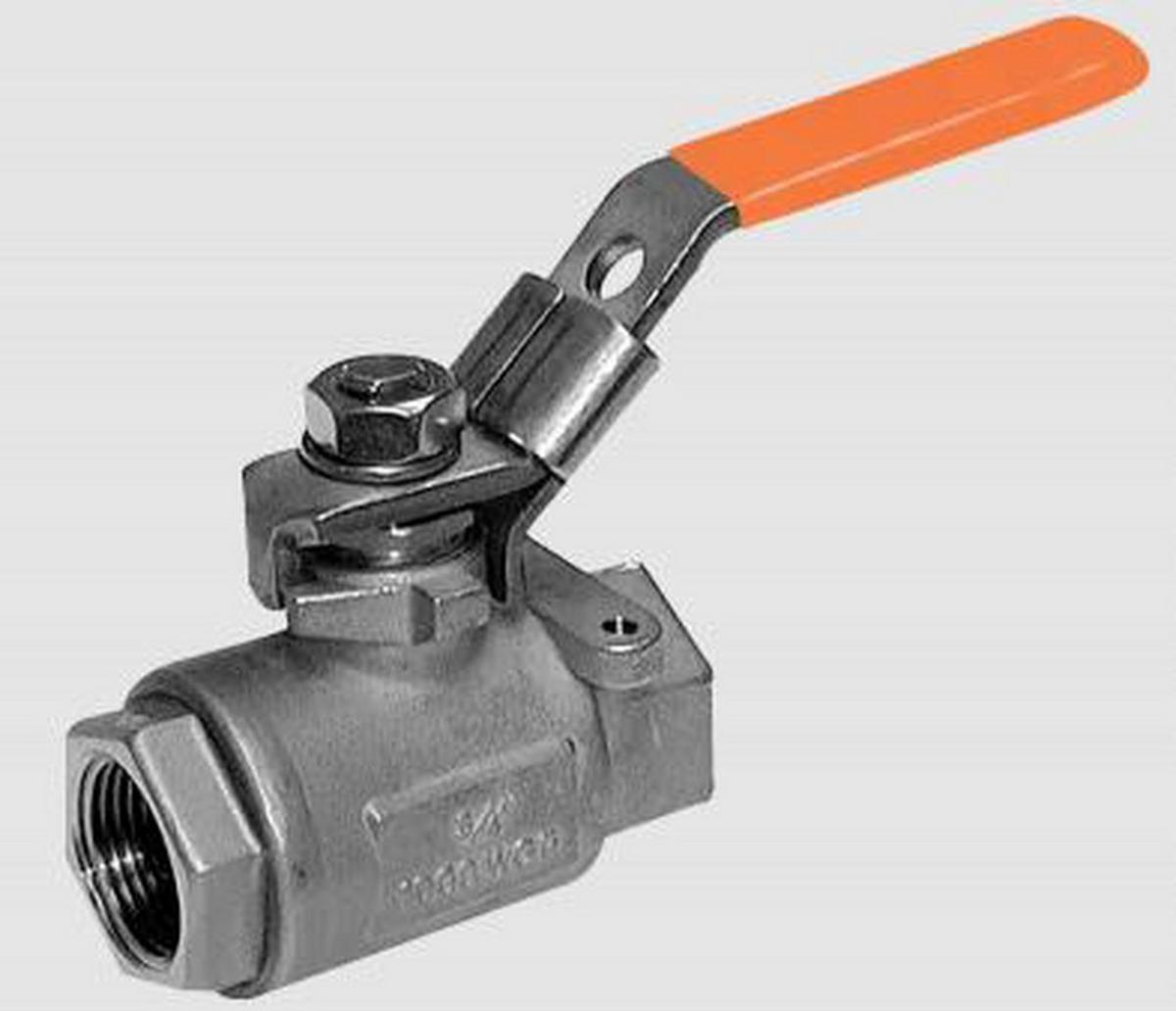Quadrant Series S1-SS 1/4 in. Stainless Steel Full Port FNPT 1000# Ball Valve