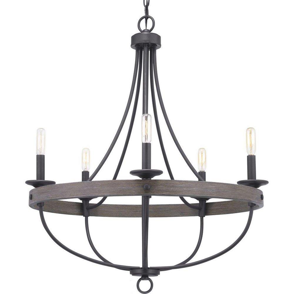 Progress Lighting Gulliver 60W 5-Light Candelabra E-12 Incandescent Chandelier in Graphite
