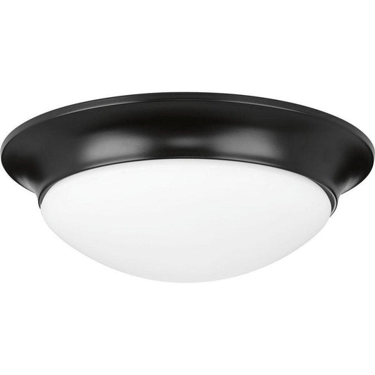 60W 2-Light Medium E-26 Incandescent Flush Mount Ceiling Fixture in Black