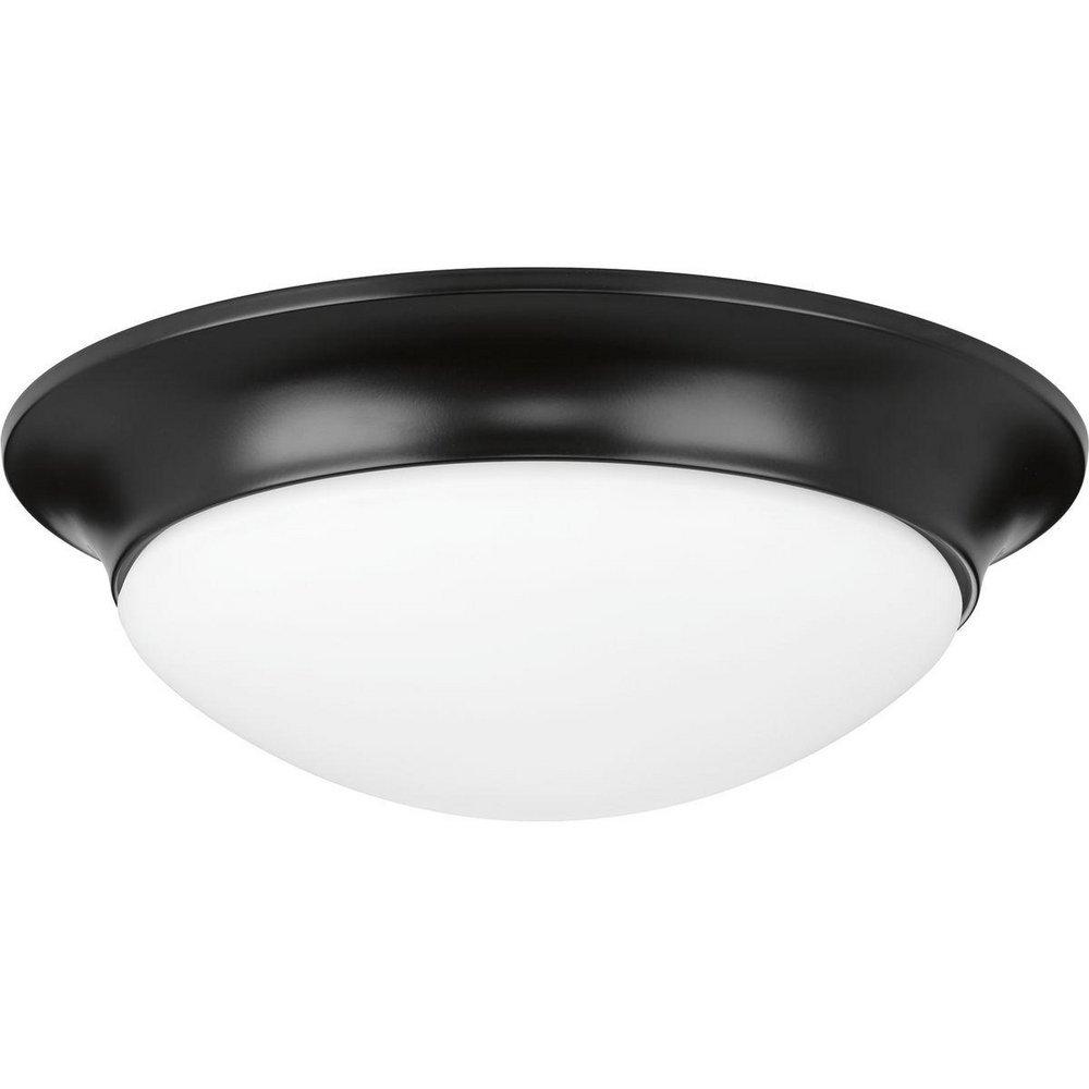 60W 2-Light Medium E-26 Incandescent Flush Mount Ceiling Fixture in Black
