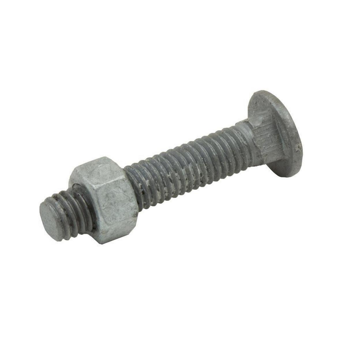 1 x 3/8 in. Galvanized Steel Carriage Bolt and Nut