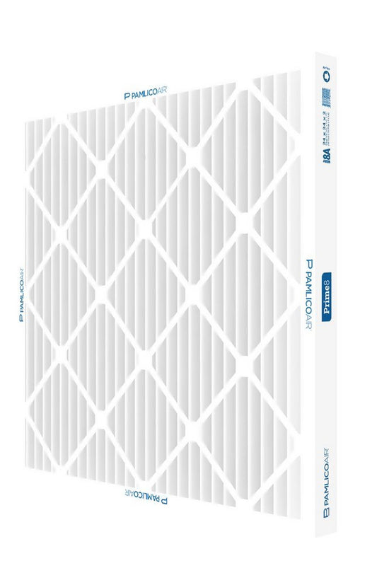 10 x 10 x 1 in. MERV 4 Disposable Pleated Air Filter