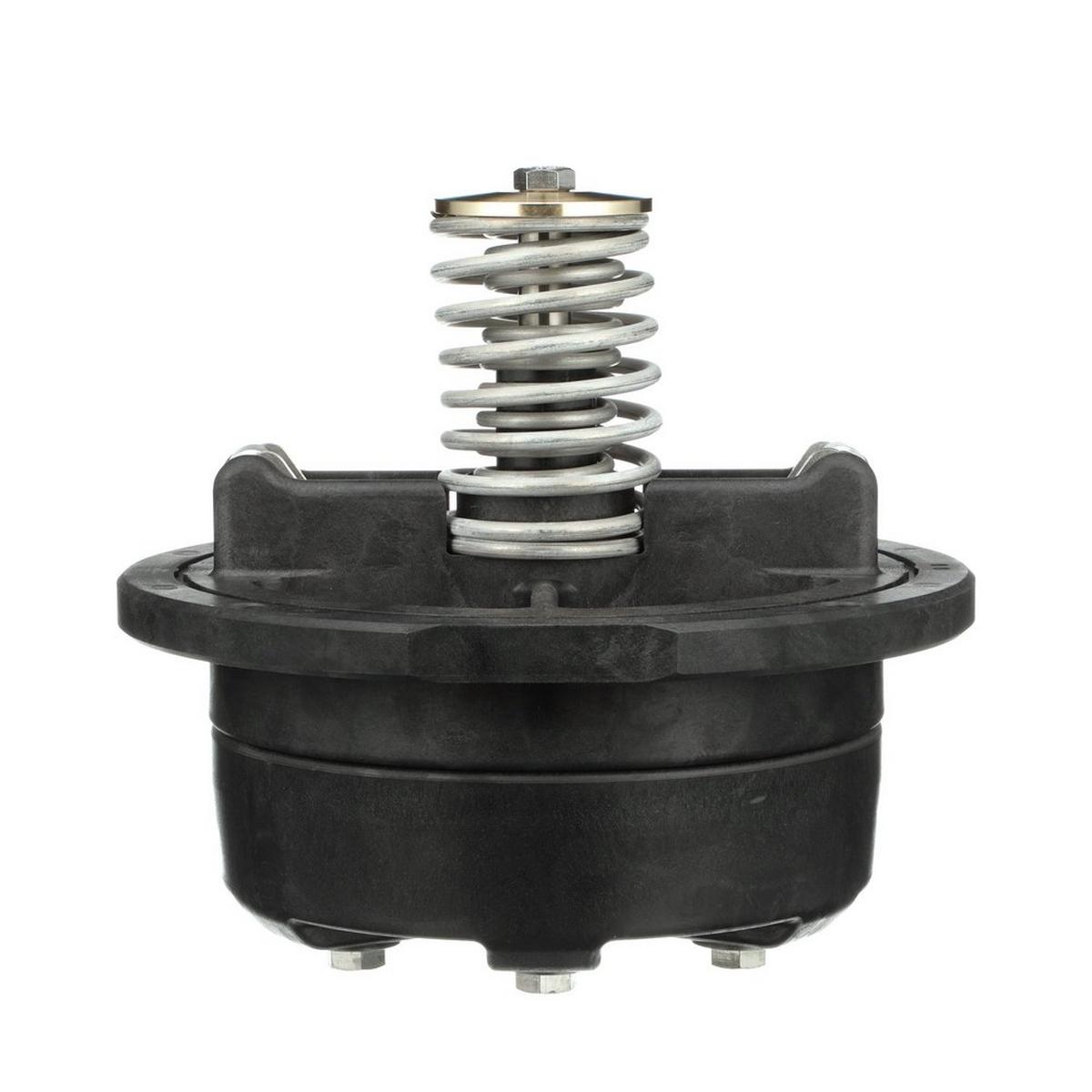 10 x 8 in. First Check Repair Kit Valve Repair Kit