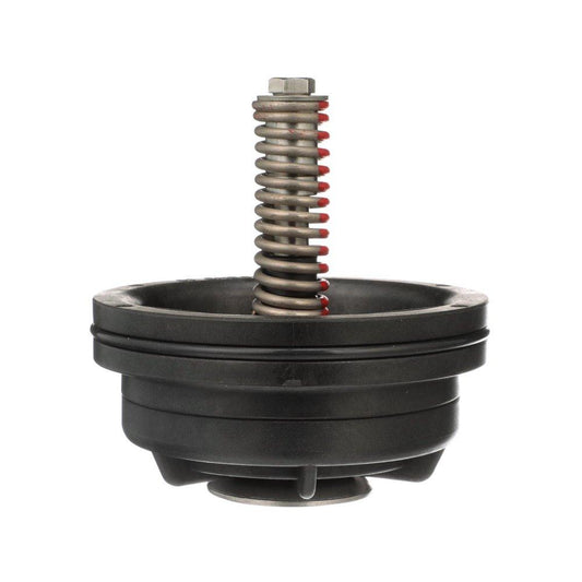 2-1/2 - 3 in. First Check Repair Kit Valve Repair Kit