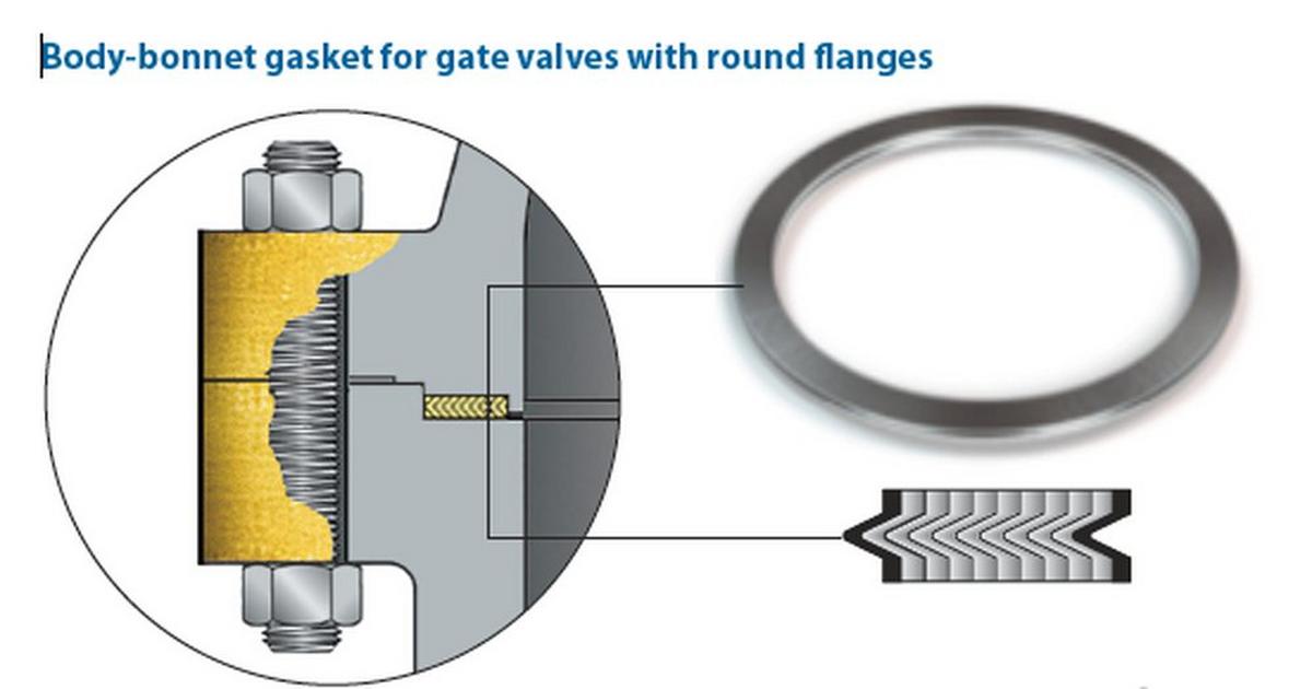 Gasket 1 in. Mineral and Nickel Alloy Valve Repair Part