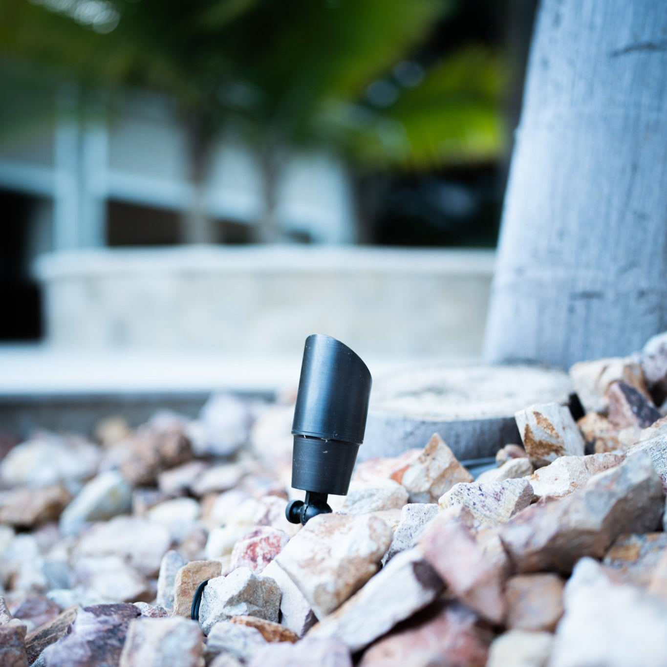 Rein Bronze Spotlight