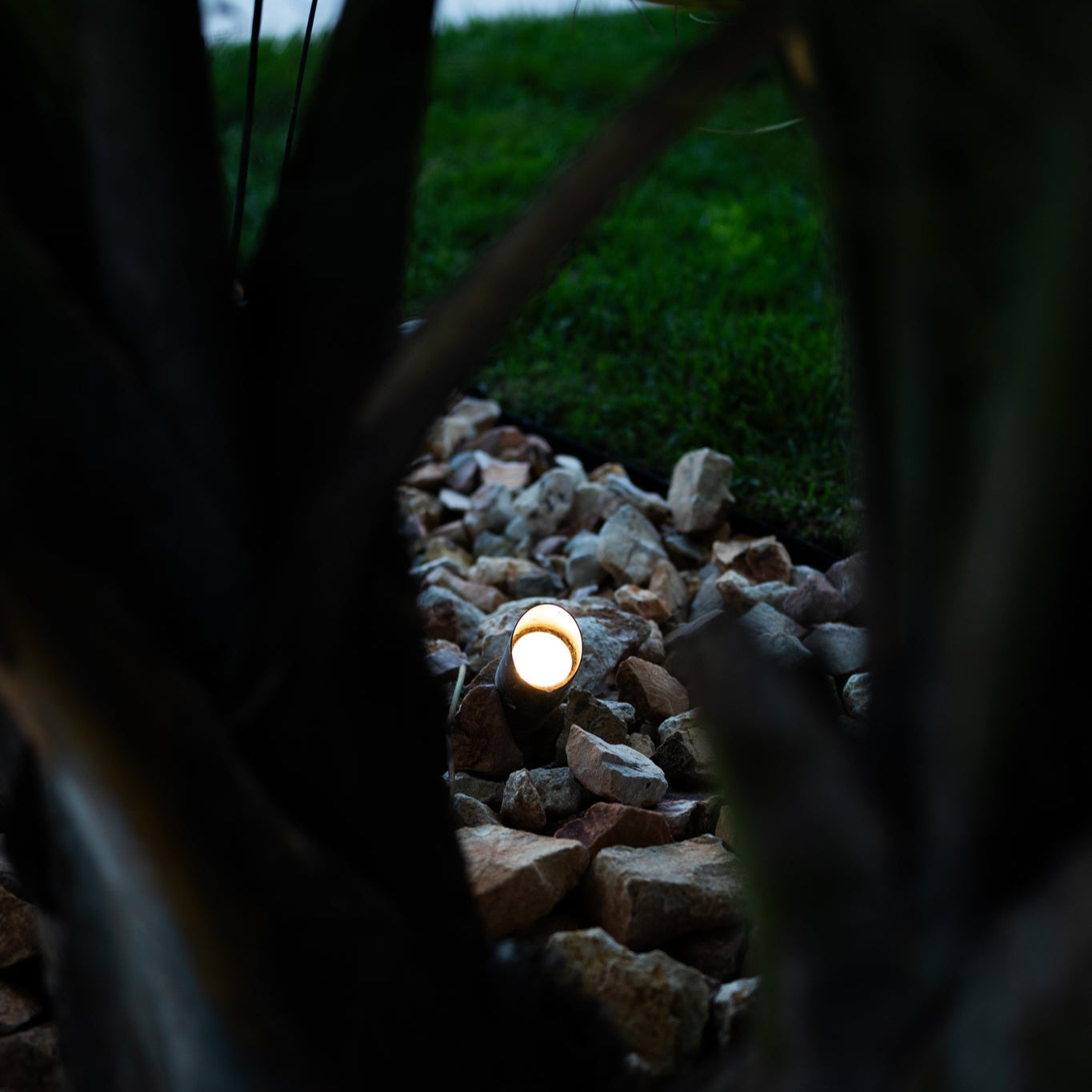 Rein Bronze Spotlight